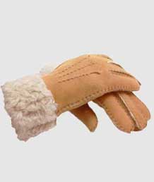 Klik hier voor meer informatie over handschoenen.